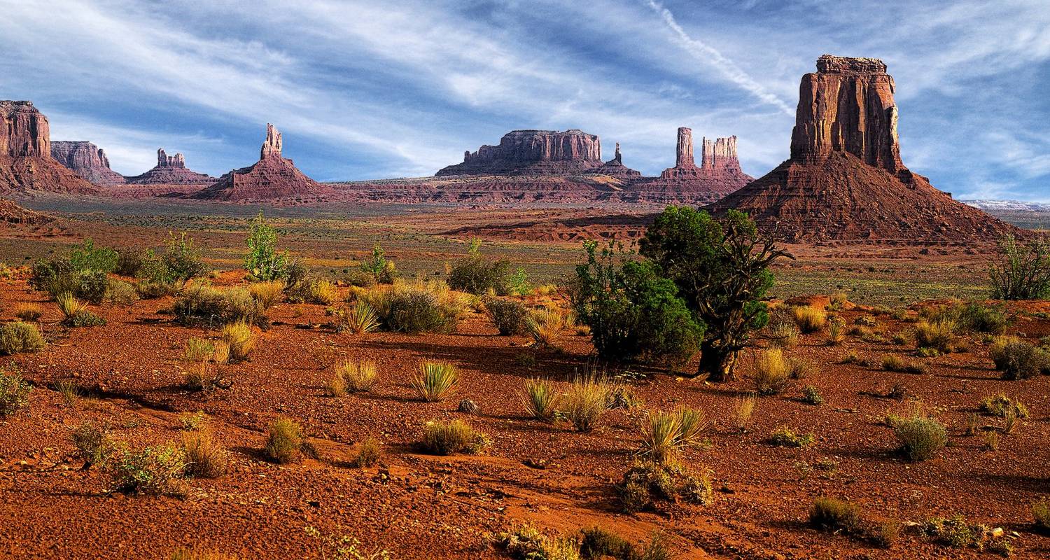 Autobus / Bus circuitos en Costa Oeste de EEUU