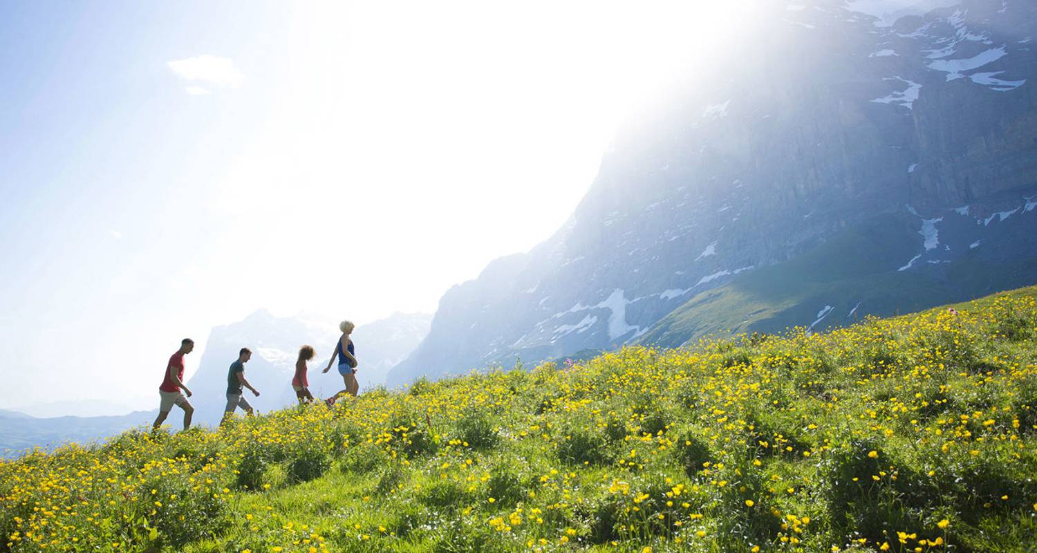 Alpen Aktivreise - Contiki