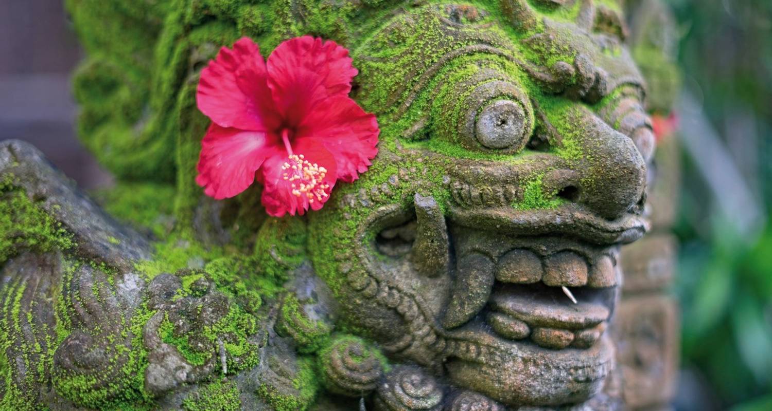 Salud, Spa y Bienestar circuitos en Bali