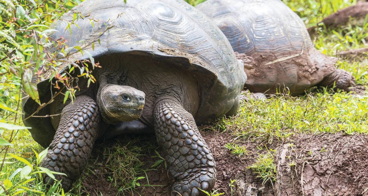 1 Maand+ rondreis Zuid-Amerika