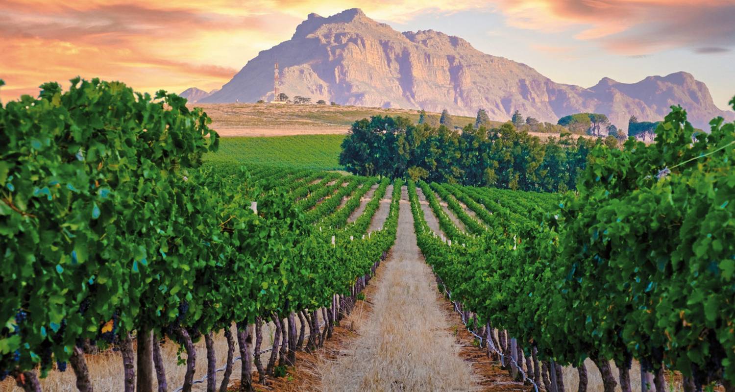 Singlereisen in Garden Route