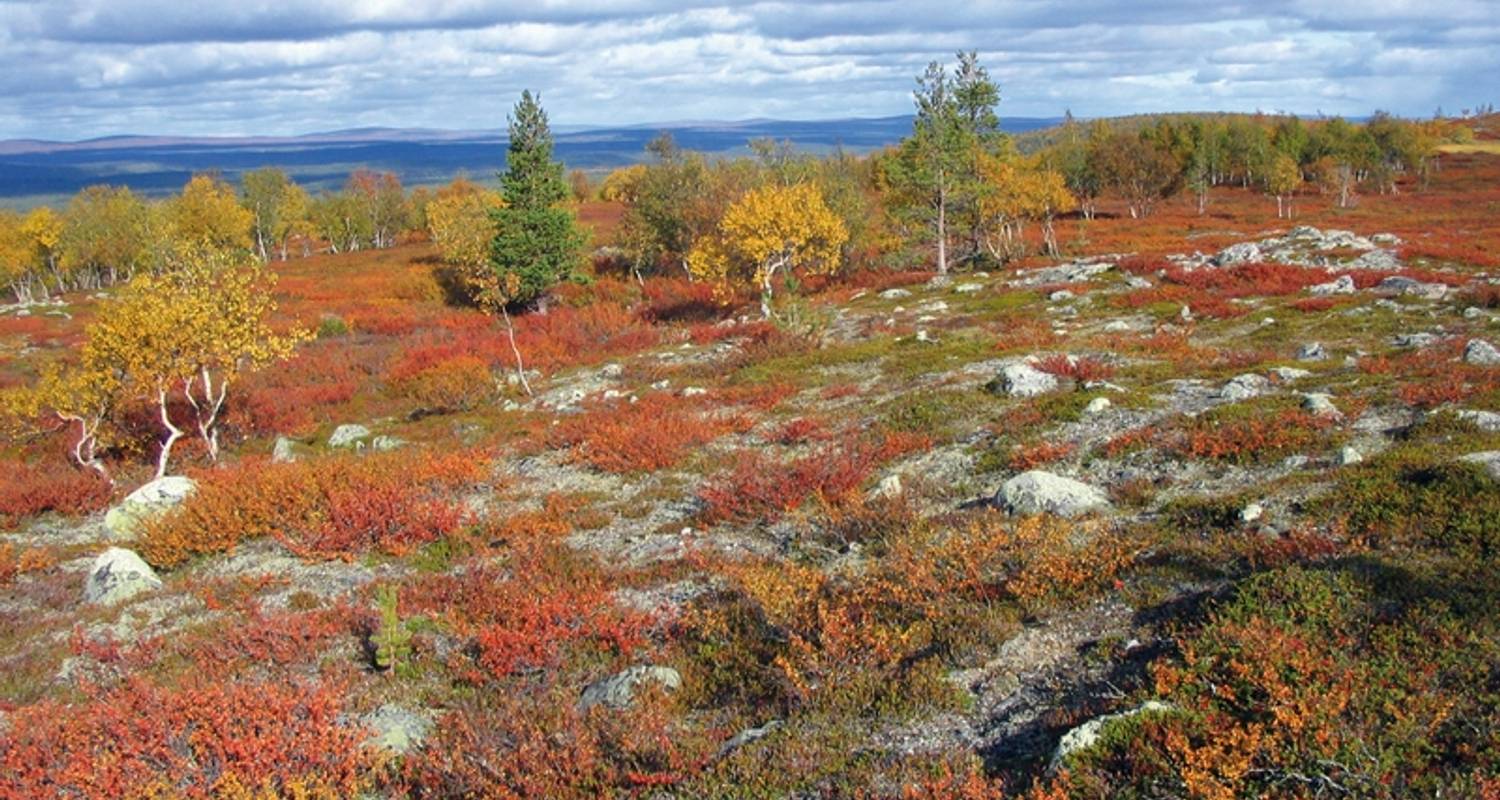 10 Tage Finnland Rundreisen
