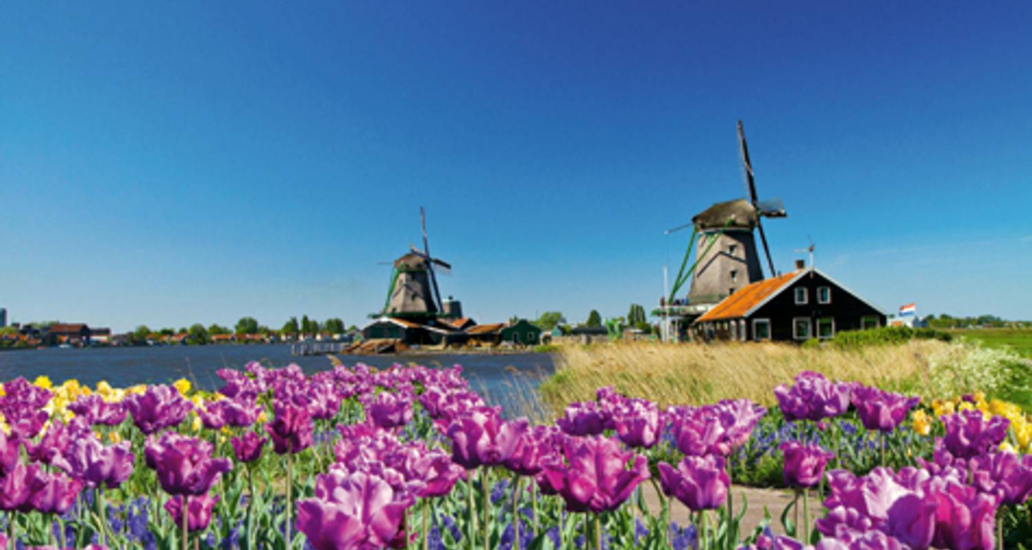 Tulipes et moulins à vent (2026) (d'Amsterdam à Anvers, 2026) - Uniworld Boutique River Cruise Collection
