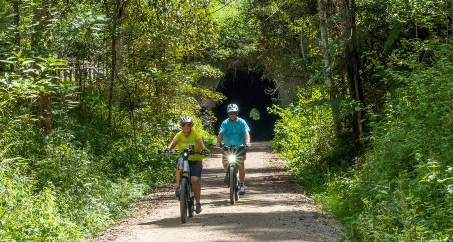 Northern Rivers Rail Trail NSW Guided Cycling Tour - Tour de Vines