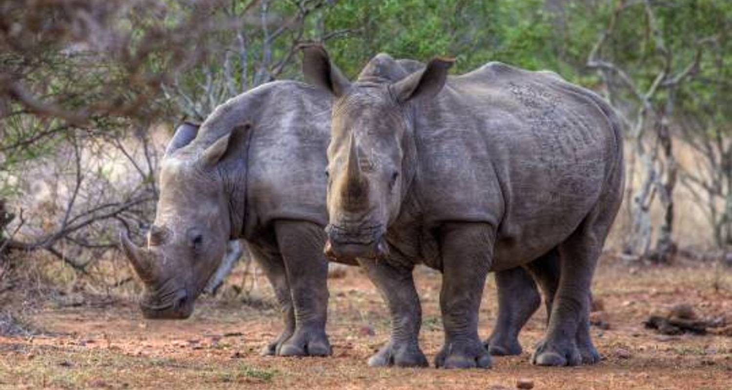 Zimbabwe to Zanzibar - 16 days - On The Go Tours