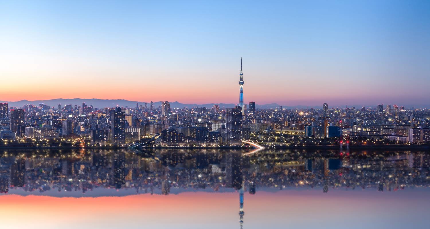 Mount Fuji Tours & Trips