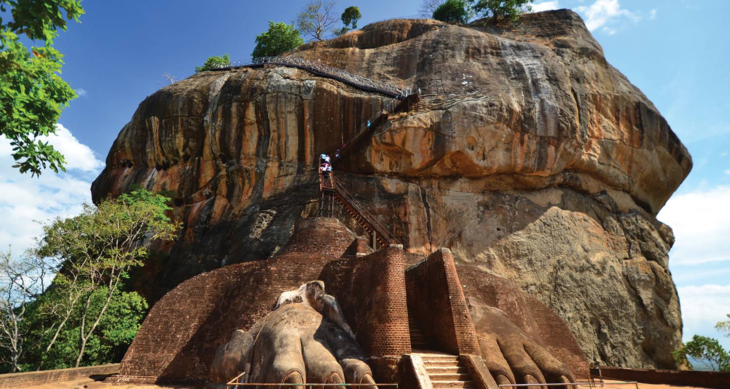 Premium Sri Lanka - Intrepid Premium