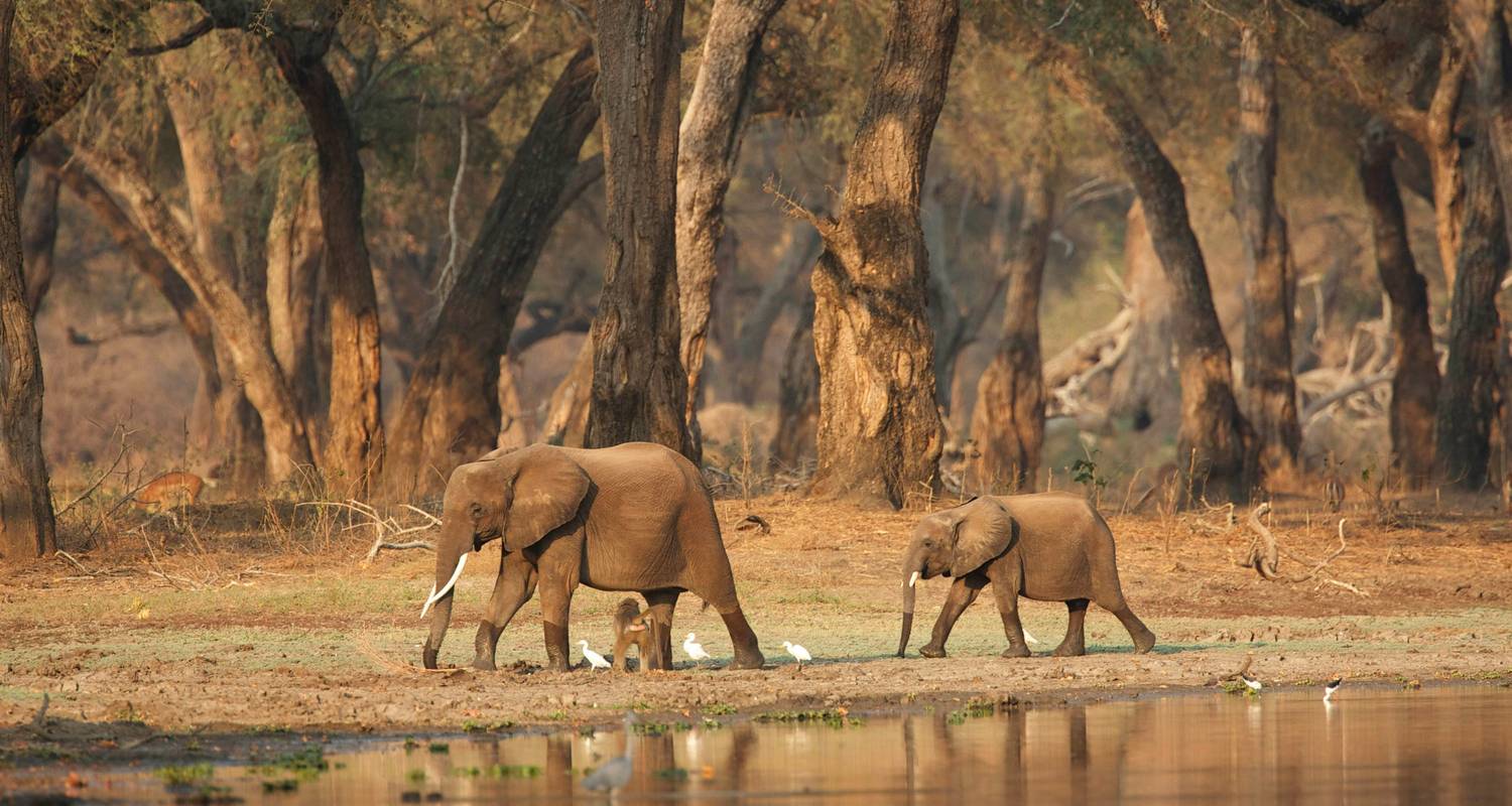 Lake Nakuru Nationalpark Reisen