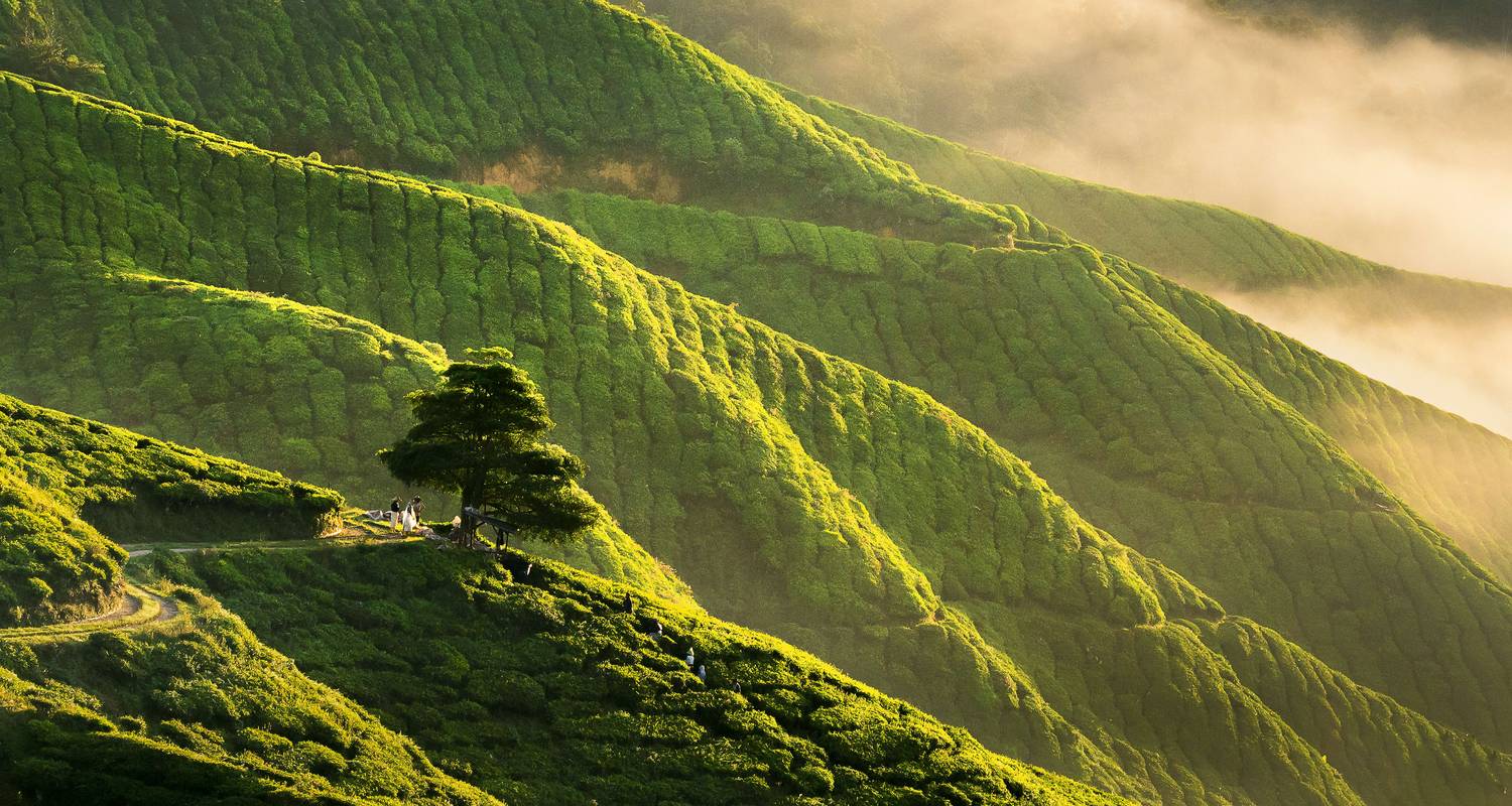 West Malaysia Rundreise im Dezember 2025