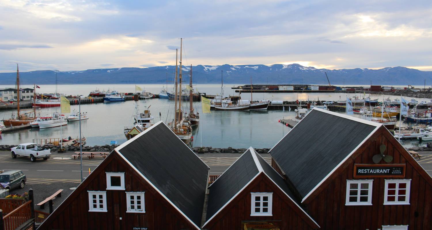 Le meilleur de l'Islande avec les aurores boréales (2026) - Collette