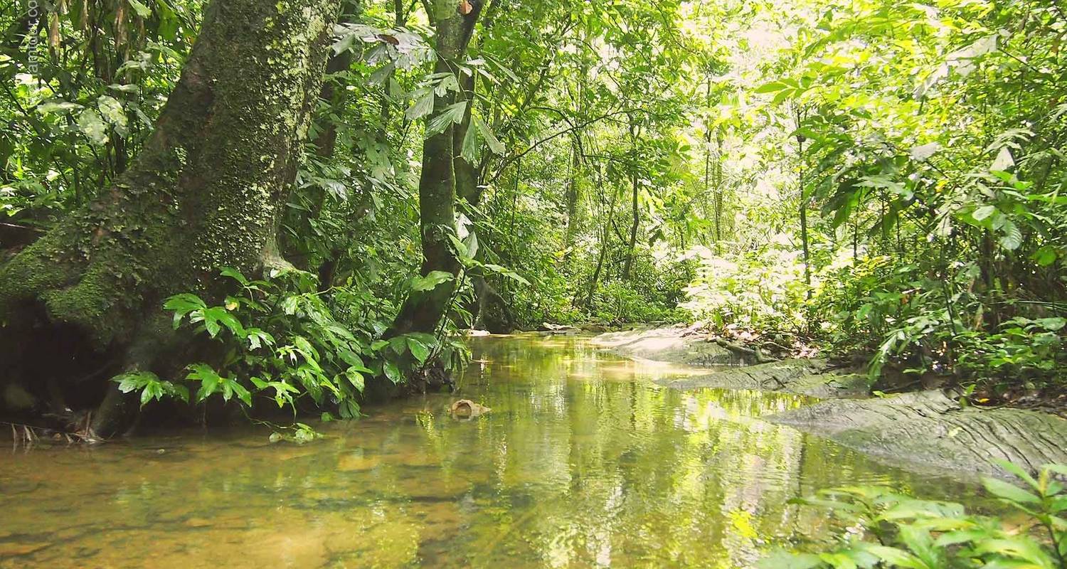 Nordvietnamesische Vogelbeobachtungstour 6 Tage/5 Nächte - Vktour