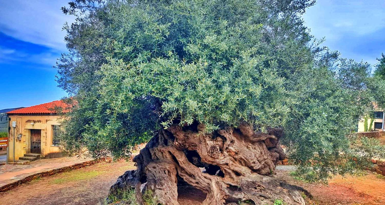 Charming Crete (All-Inclusive Guided Semi-Private Tour) - Pictours of Greece