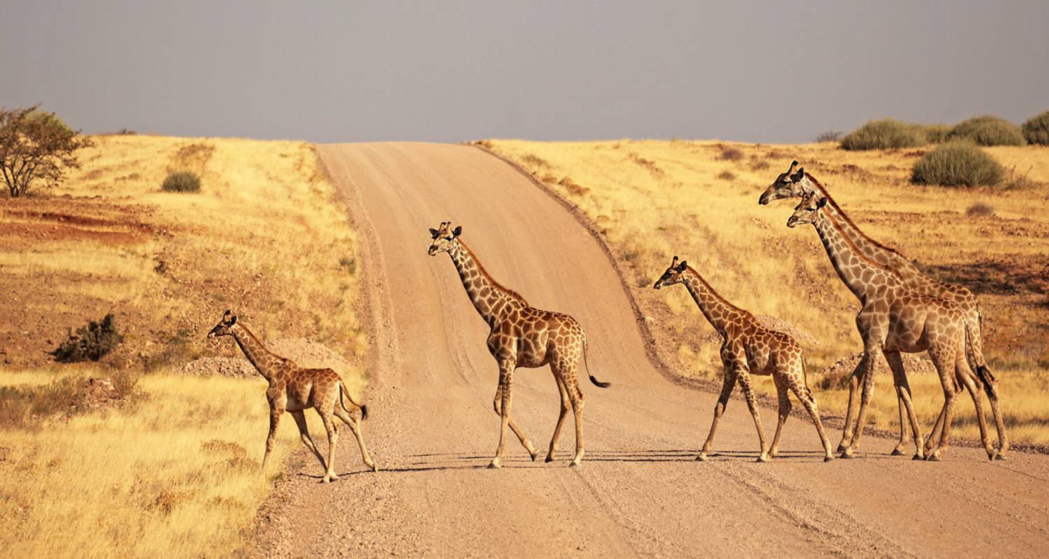 Nomadisches Namibia Wiedersehen 35 bis 45 (Nur für ehemalige Contiki-Reisende, Wiedersehen) - Contiki