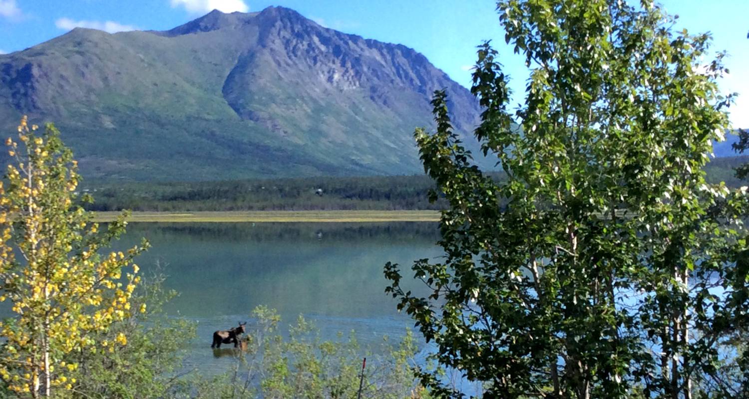 Aurora Boreal circuitos en Oeste de EEUU