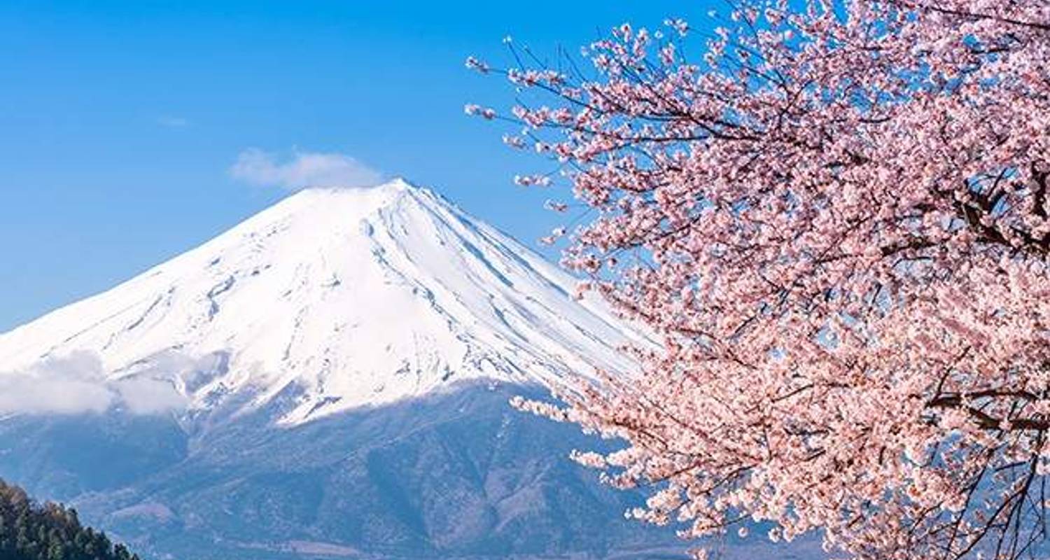 Off-Beat Japan - Wendy Wu Tours