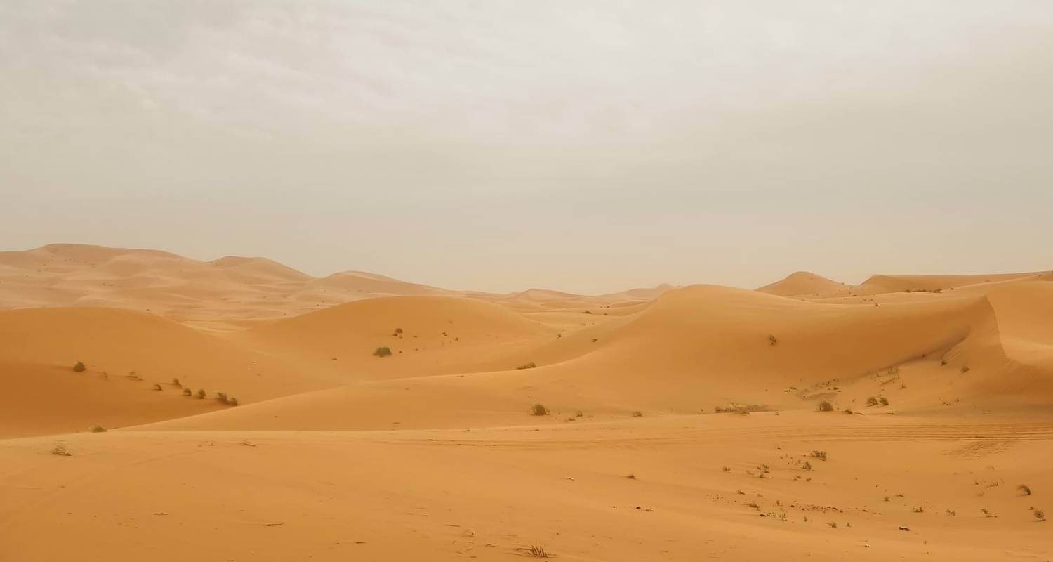 Circuit de 6 jours au Maroc : Fès, désert du Sahara et Marrakech (groupe) - Imago Travel