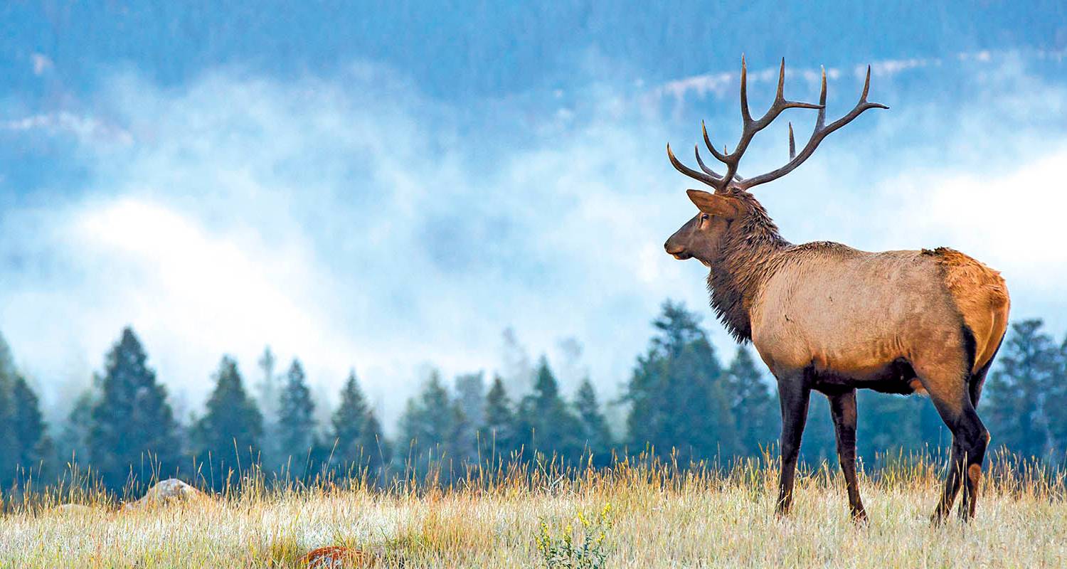 Majestic Rockies & Alaskan Cruise 2026 - Scenic Luxury Cruises & Tours