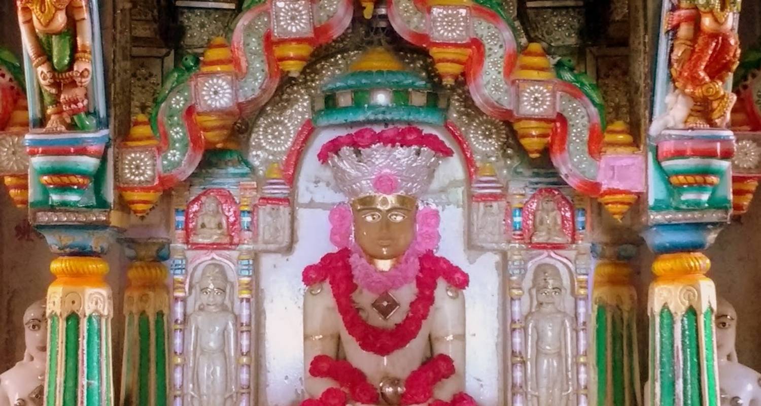 Private Tour of Hidden Treasures of Gujarat & Rajasthan - MTA Destination Management Company