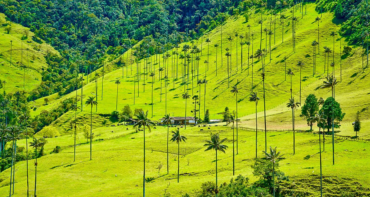 Colombia Budget Reizen in Colombia