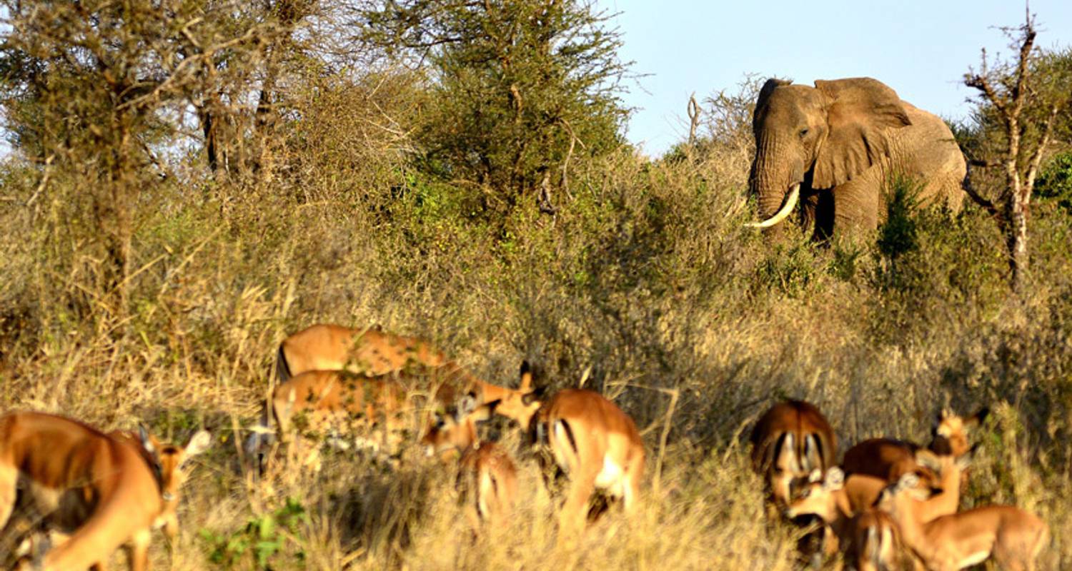 Serengeti & Zanzibar Wanderer (Zanzibar to Nairobi) - Dragoman Overland