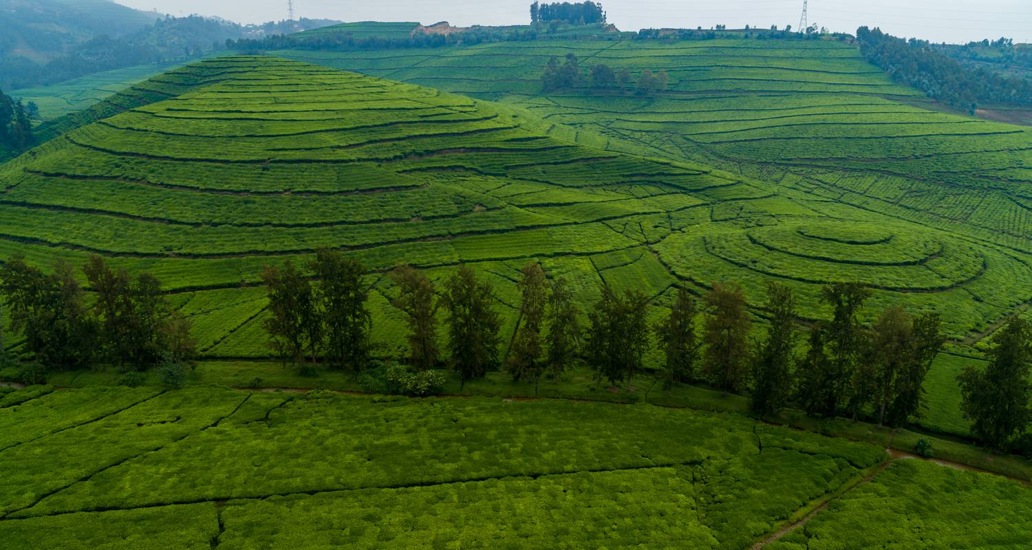 Circuits Afrique de 7 jours