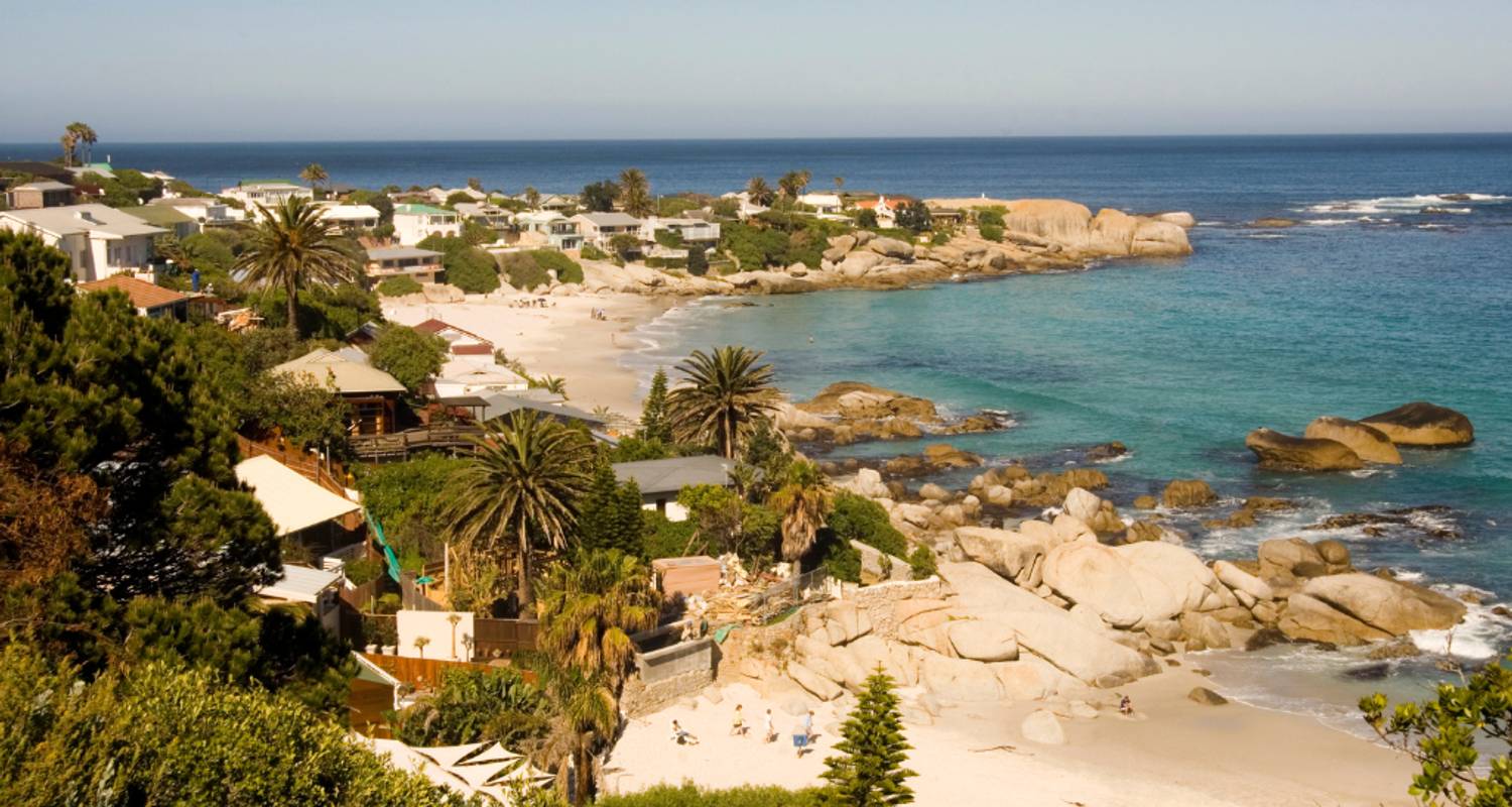 1 jour - Péninsule du Cap Point Penguins & Chapmans Peak - Knap Tours Limited