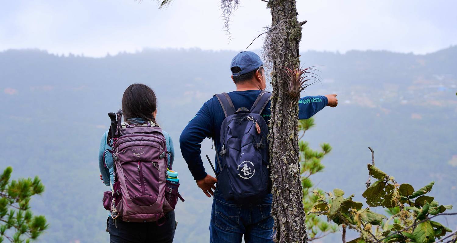 Embarquez pour les sentiers enchanteurs de Zapotec 4J/3N - Bamba Travel