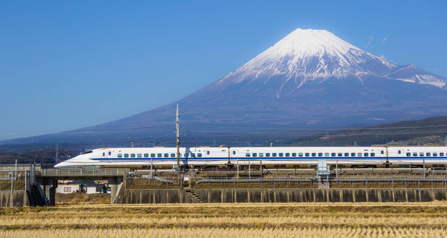 Japan Intense : des néons au chant des moines (10 destinations) - journaway