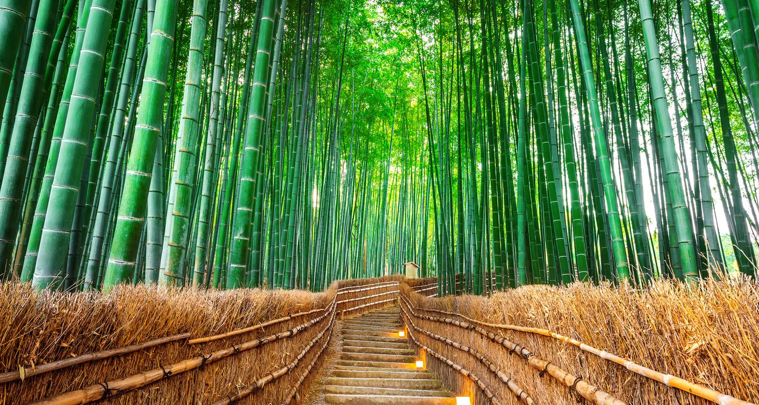 Japan Meets Korea: Rail Road Adventure & Seoul City - journaway