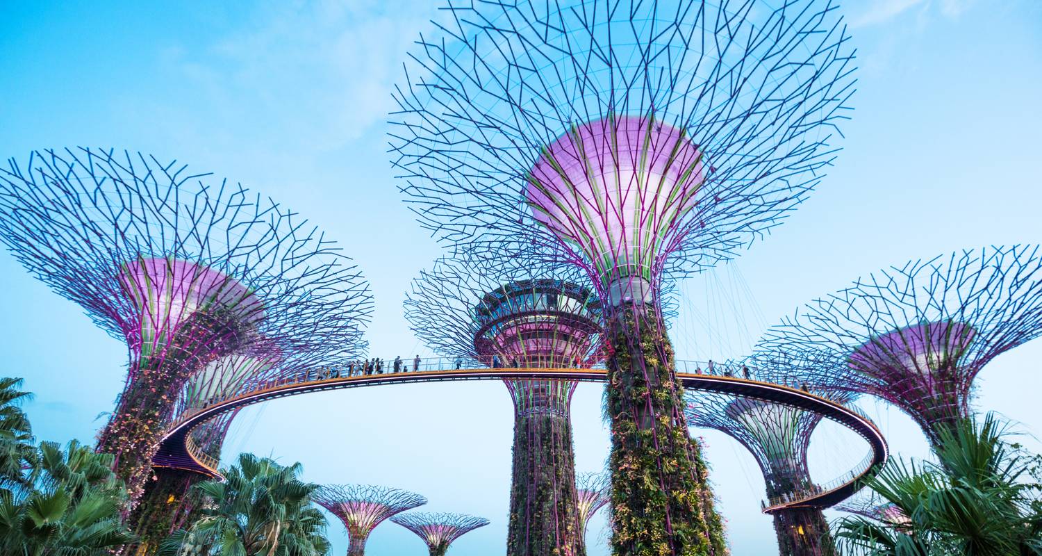 Shopping dans les pays d'Asie : Palm Trees & Rooftop Views (21 destinations) - journaway
