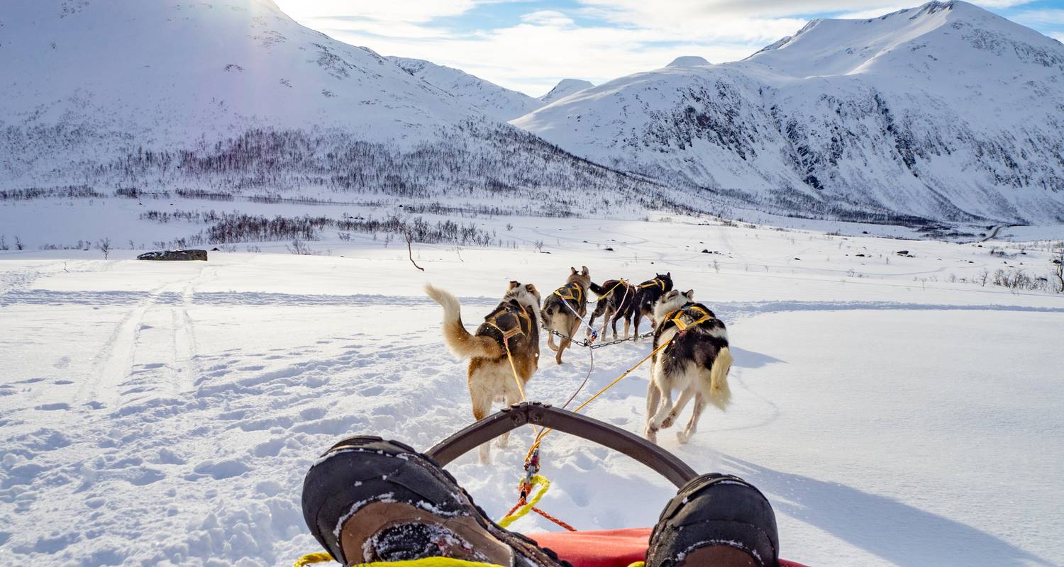 Aventure au Svalbard : Polar Lights & Arctic Nights - journaway