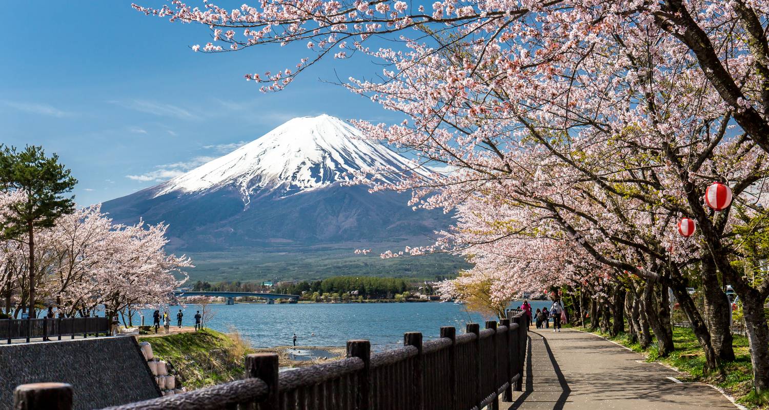 La liste des choses à faire au Japon : Lumières de la ville et vibrations mystiques du Fuji - journaway