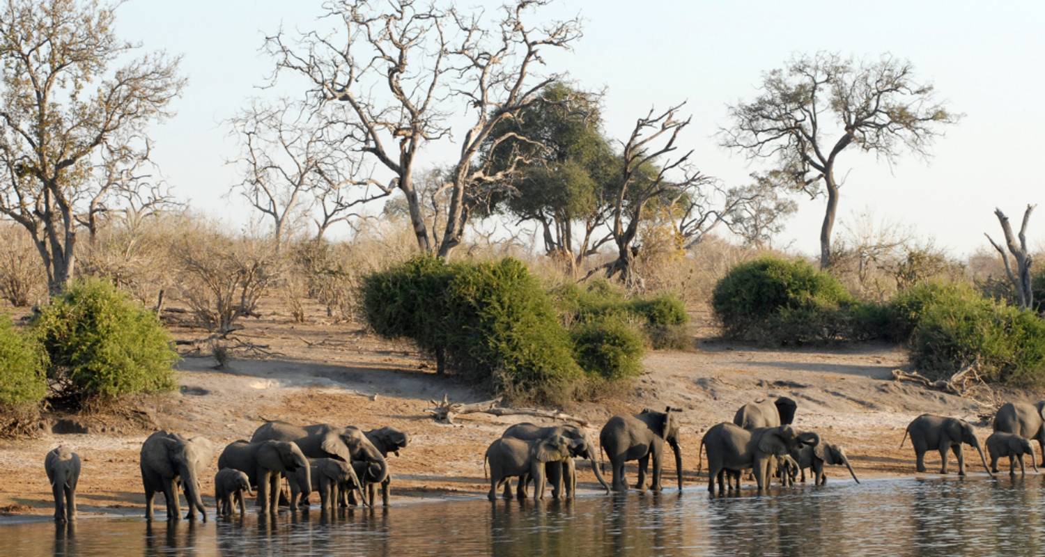 1 Día - Crucero en barco por el río Chobe y avistamiento de animales - Knap Tours Limited