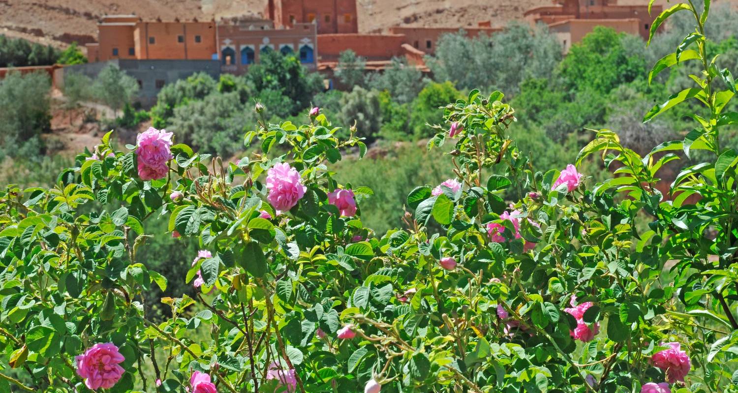 Sahara en 3 jours au départ de Marrakech - Morocco Desert Trip