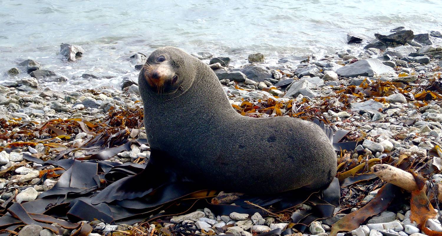 New Zealand West Coast Adventure (13 destinations) - Intrepid Travel