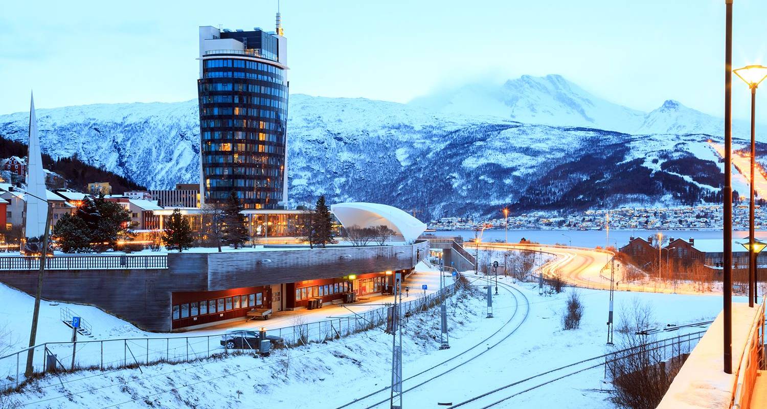 Wildlife Tours in Norway