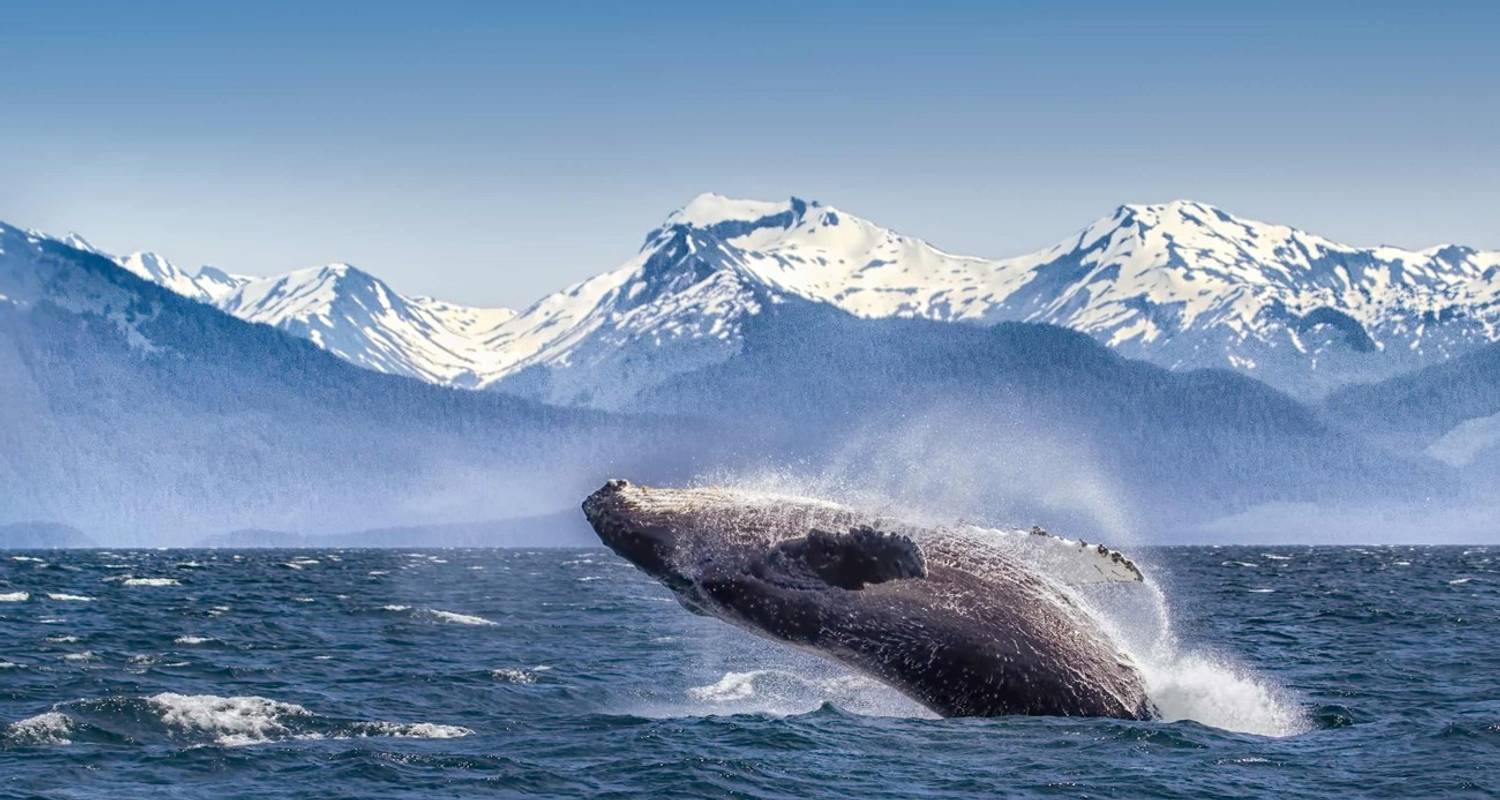 Spectacular Canadian Rockies (Inside Cruise, 17 Days) (13 destinations) - Trafalgar
