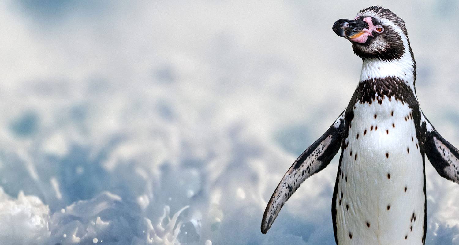 Südamerika Rundreisen 14 Tage