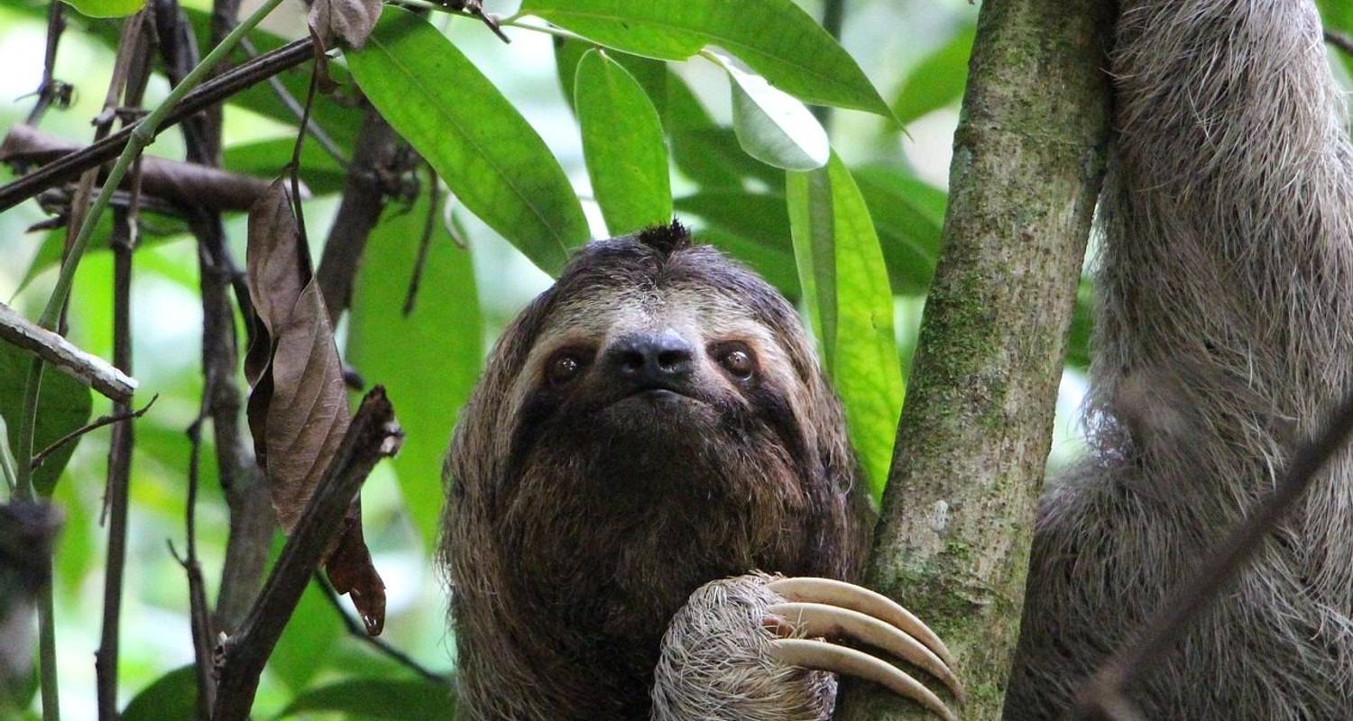 9 jours d'aventure au Costa Rica : Volcans, forêts de nuages et côte pacifique - Across Caribbean Excursions