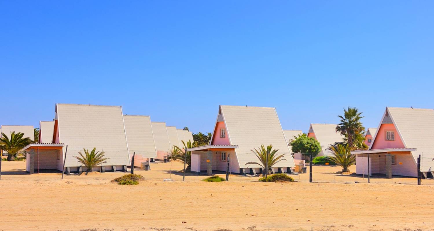 1 jour - Aventure marine à Swakopmund et Walvis Bay - Knap Tours Limited