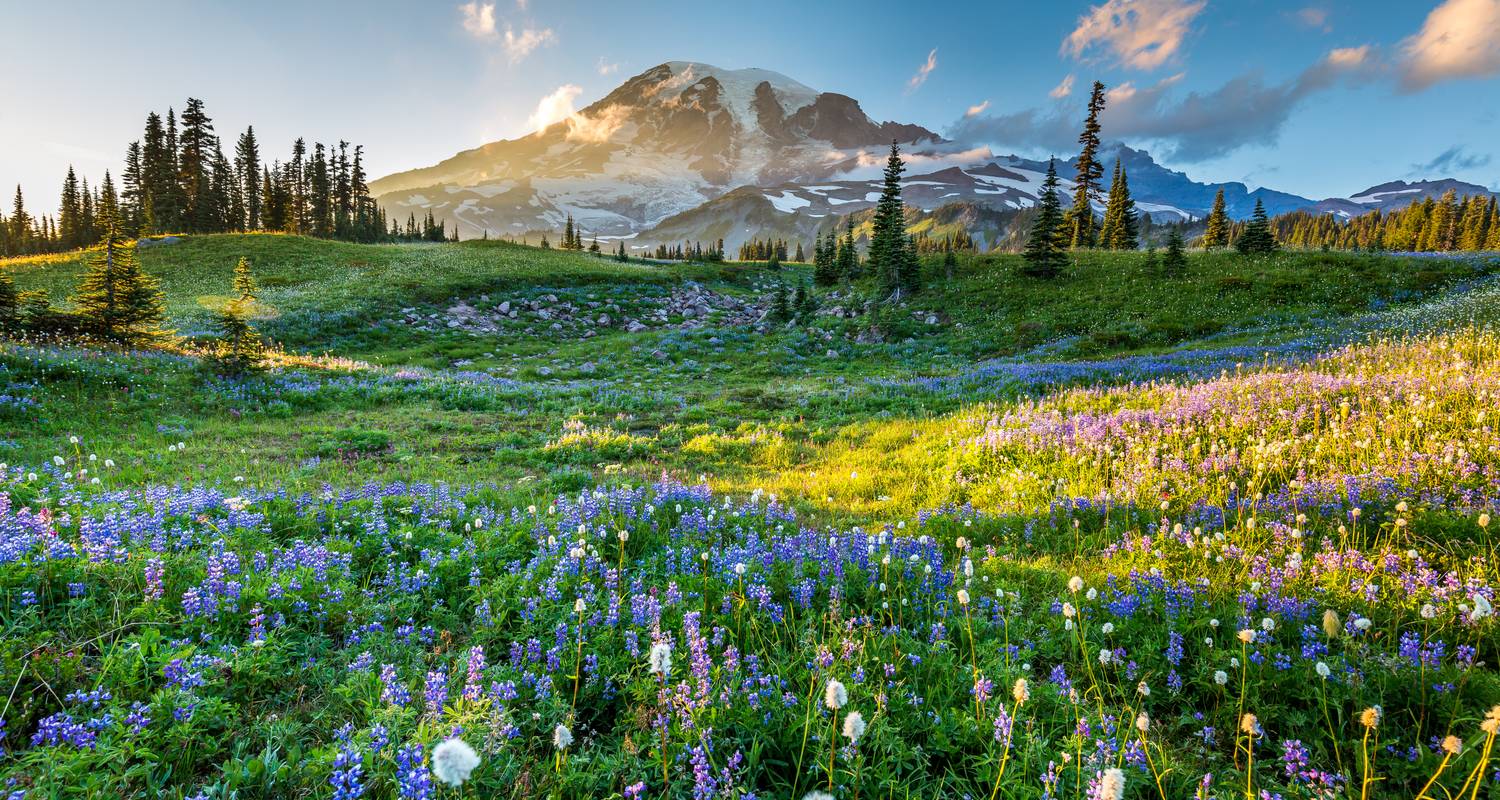 Roadtrip à Washington : Seattle Sights & Olympic Mountains - journaway
