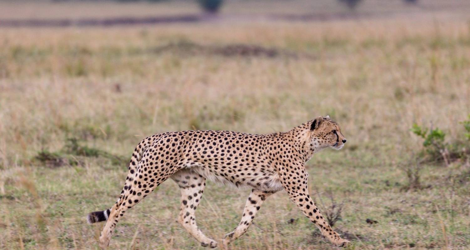 Zambia Northern Waterfalls Adventure: Explore the Unseen 13-Day - Across Africa Tours & Travel