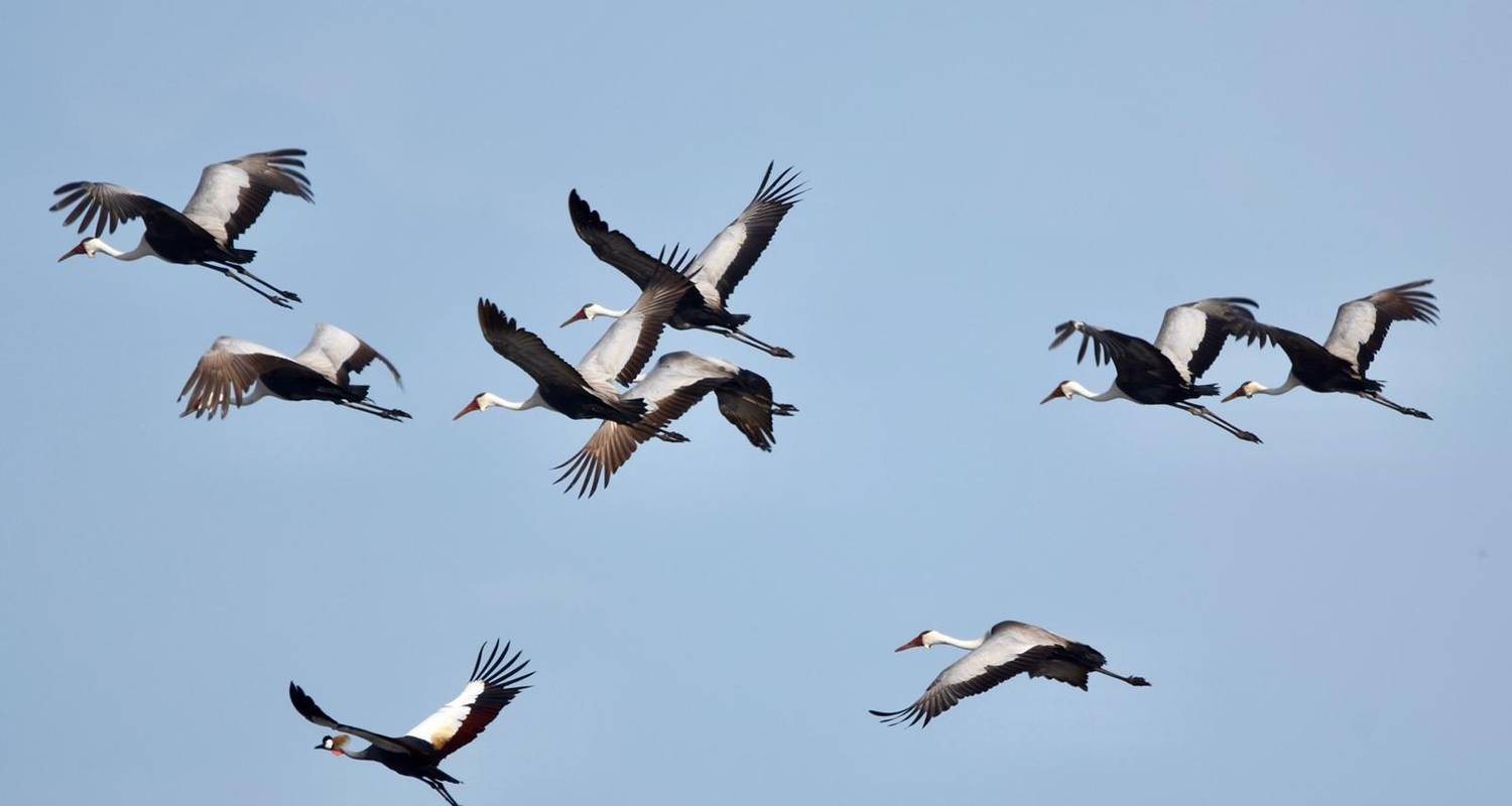 Circuits et voyages économiques en Kafue