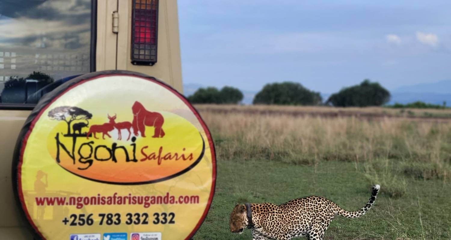 Rwanda : Voyages culturels