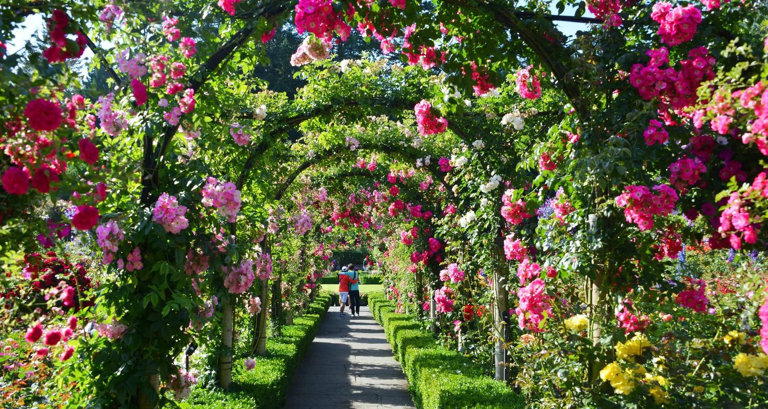 Rocheuses enchanteresses Vancouver → Victoria (2026) - Travel Marvel