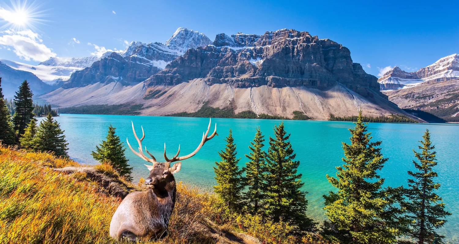 The Best of Canada Toronto → Victoria (2026) - Travel Marvel