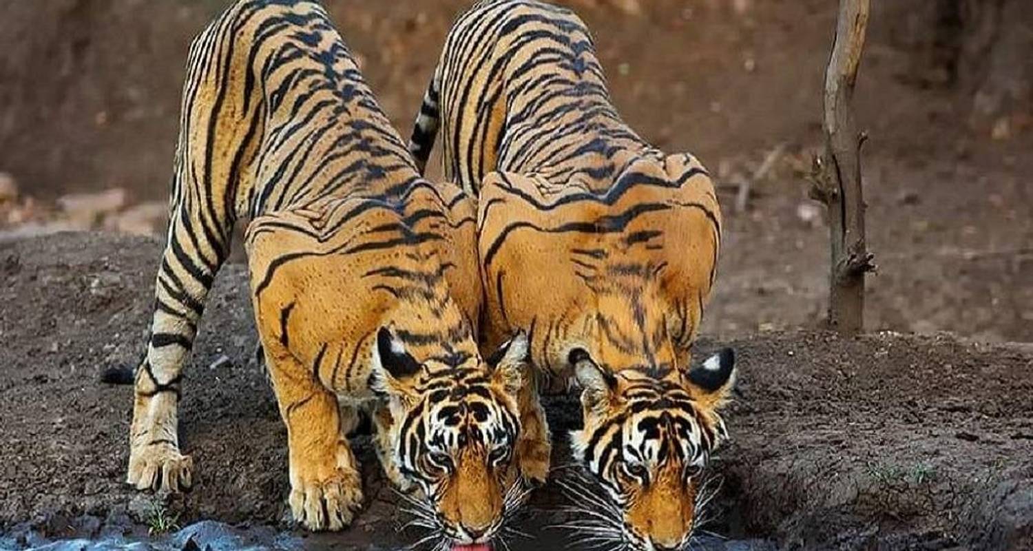 Günstige Reisen in Indien