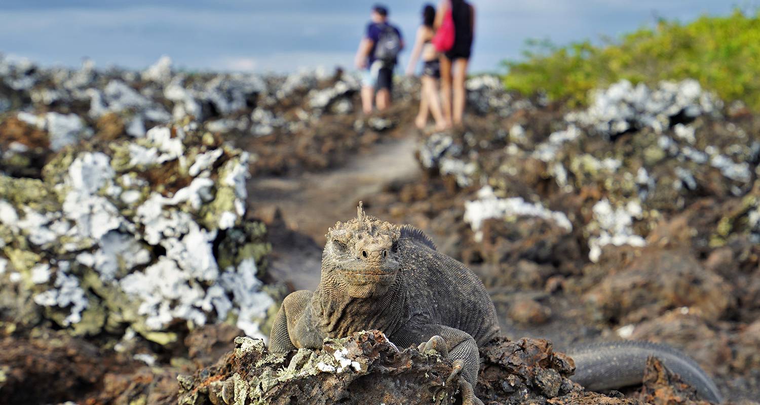 Exploration des îles Galápagos - 7 jours - On The Go Tours