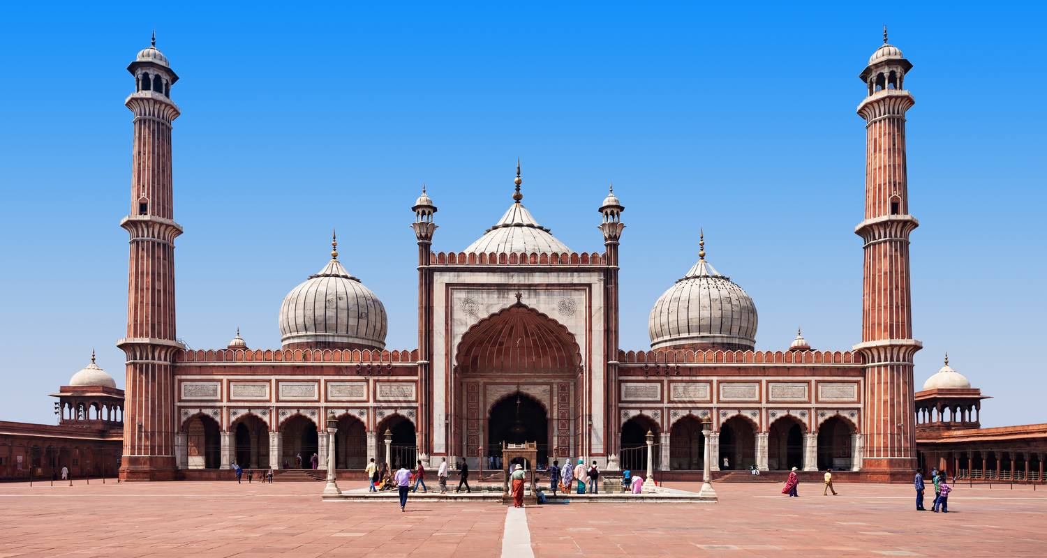 Taj, temples et tigres - Wendy Wu Tours