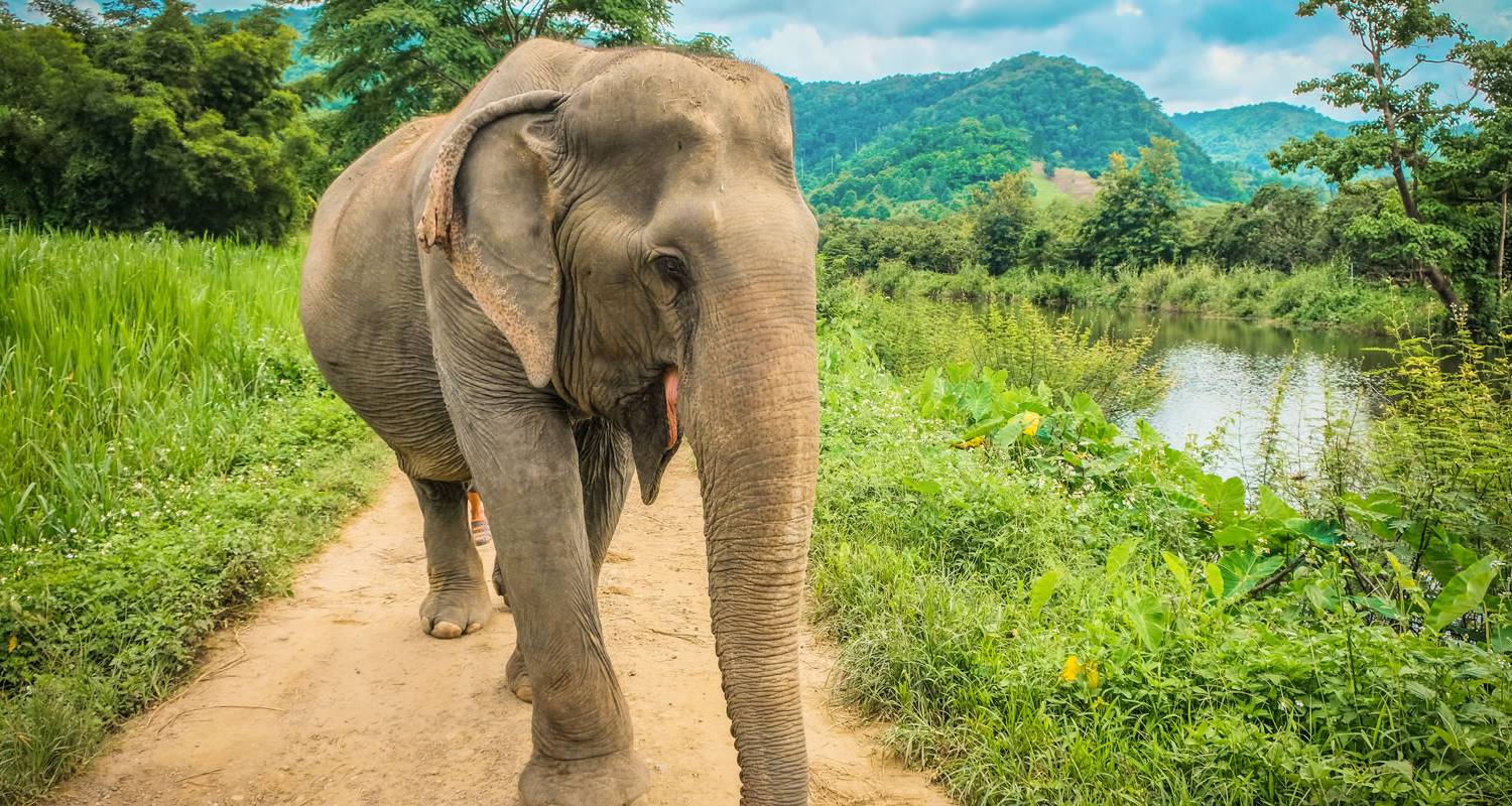 Aventure en Thaïlande et au Laos - Wendy Wu Tours